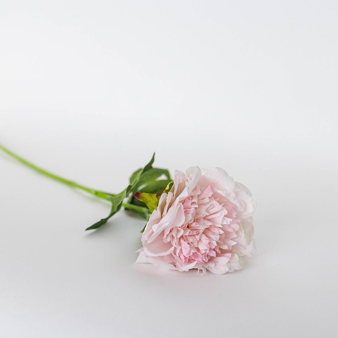 Pink Real Touch Peony