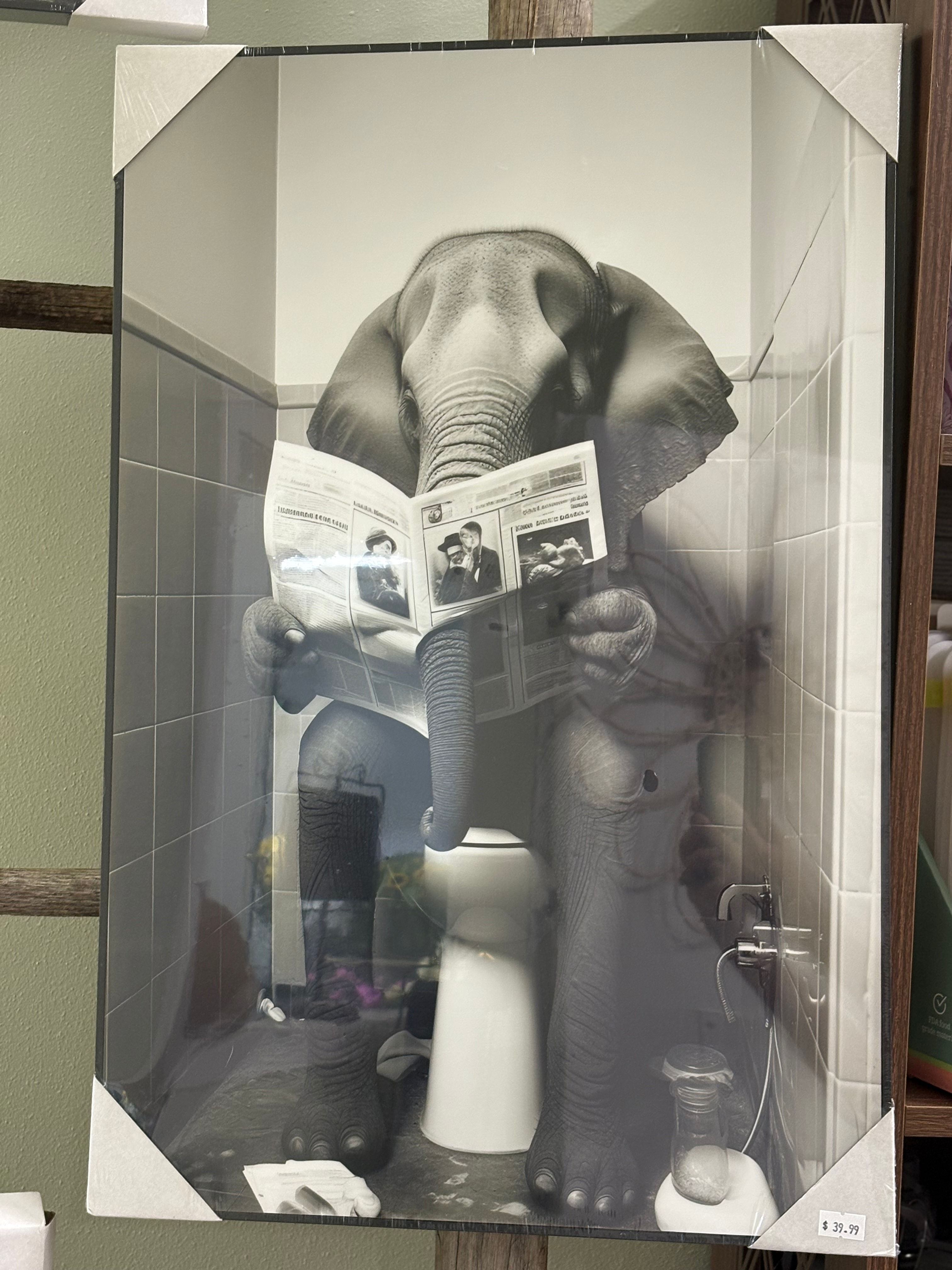 bathroom wall art elephant