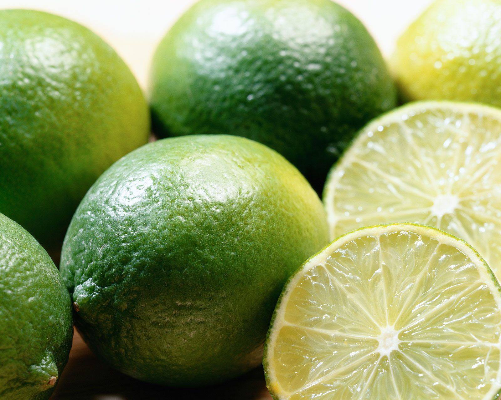 Lime Twist 16 oz soy candle
