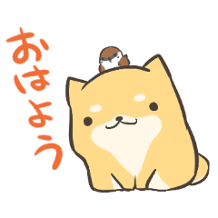 a lazy Shiba Inu Ver.everyday