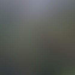 jour de pluie a la reunion