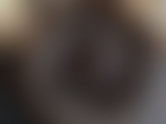 vanille bourbon ile de la reunion