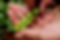 10998016_926479634058493_987629645700514