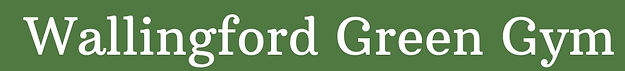 wallygreengym.jpg