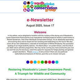 Screenshot 2025-08-01 at 15.22.39.jpg