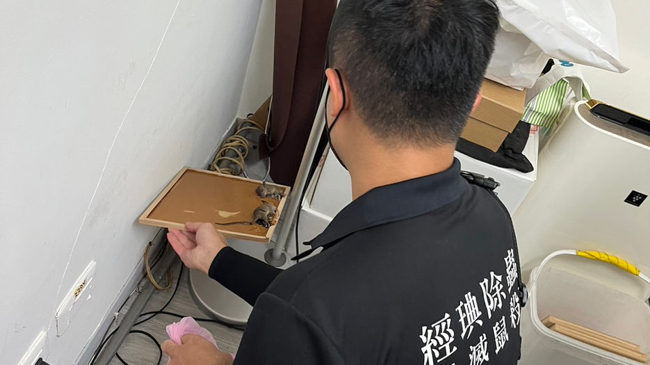 除鼠滅鼠