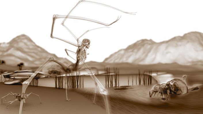 homanid still 2.jpg