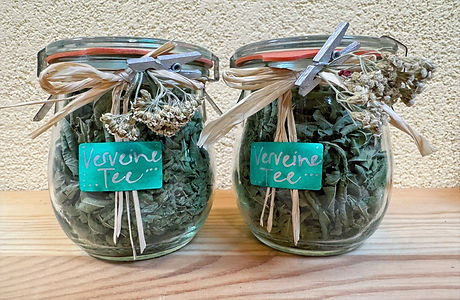 Greenhorn Kräutertee klein