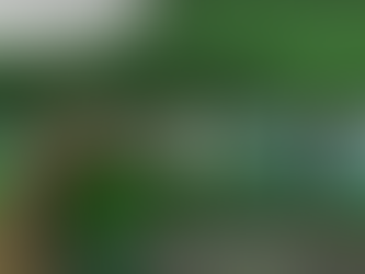 Can You Find All the Hidden Cancer Ribbons in This Jungle Picture Game?