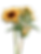 Cutout of flowers