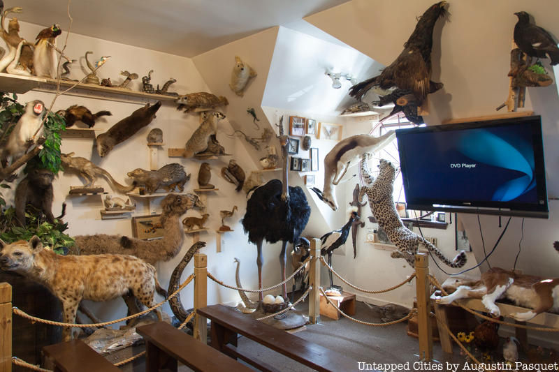 Thumbnail: Living Torah Museum