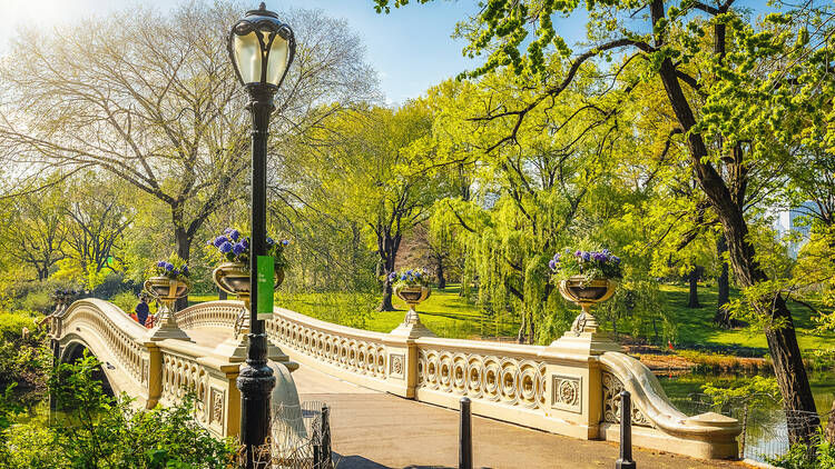 Thumbnail: Central Park