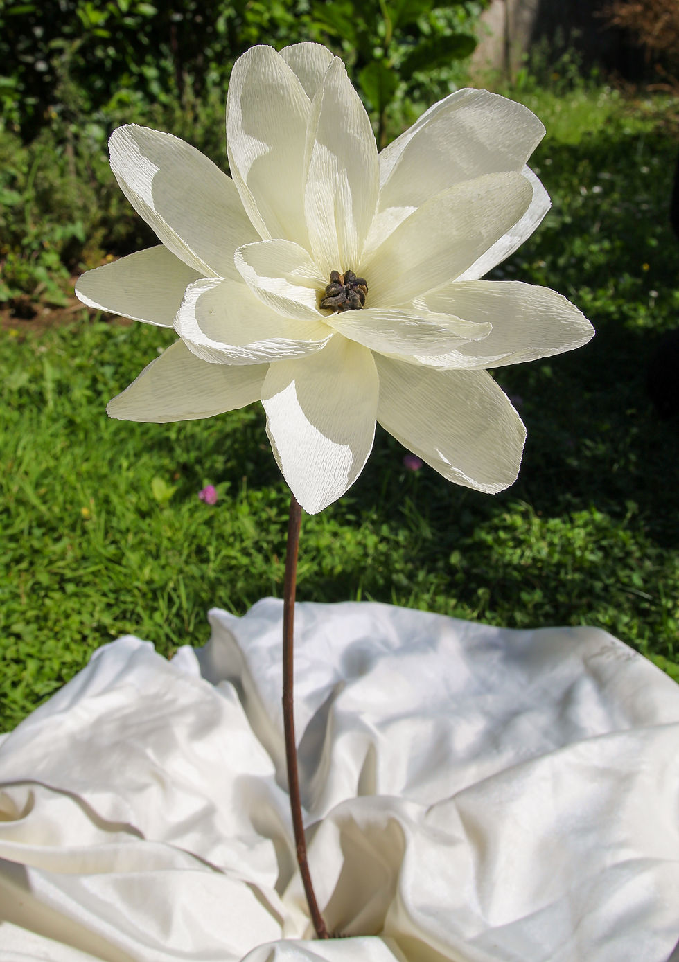 Miniatura: Magnolia grande
