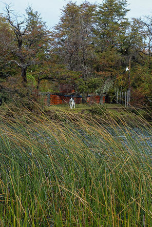 Villa Pehuenia, Provincia de Neuquen