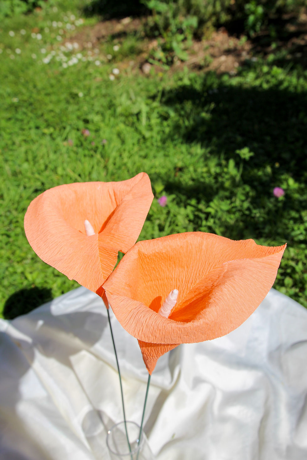 Miniatura: Calla ARANCIONE