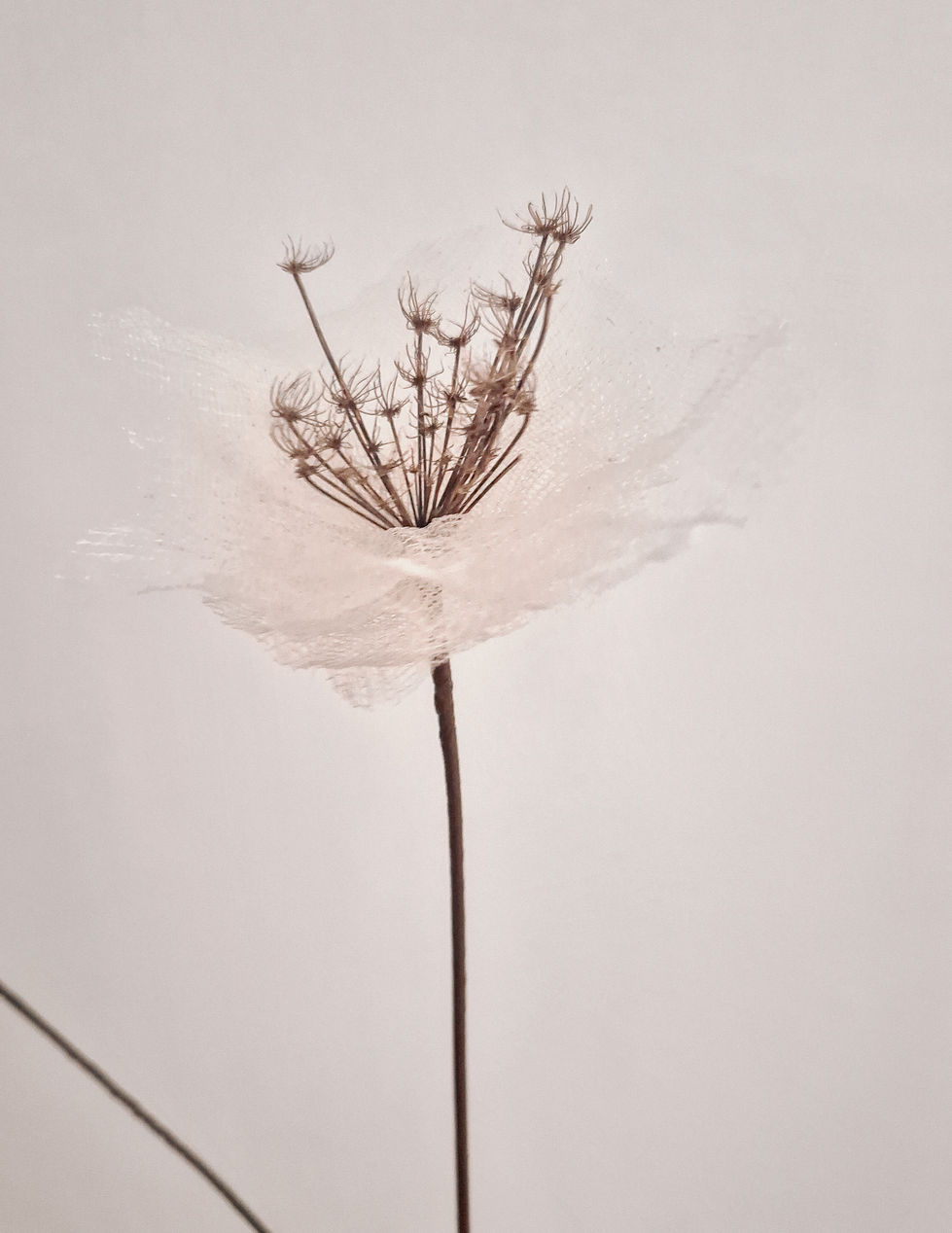 fiore 