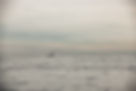 untitled (783 of 1282)(1).jpg