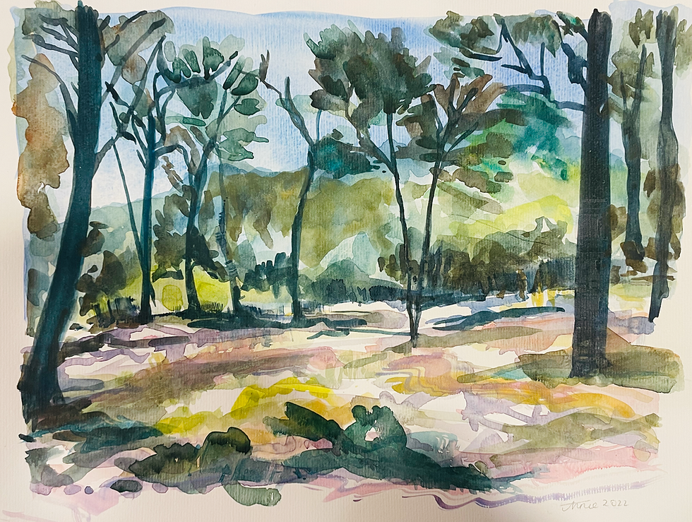 Thumbnail: Through the trees 1 - Mallorca