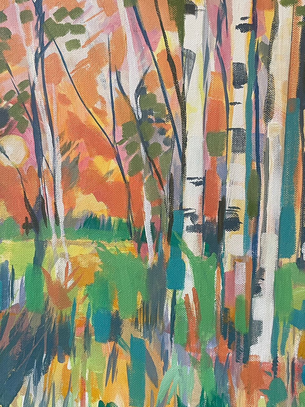 Thumbnail: Through the Birch at Sunset