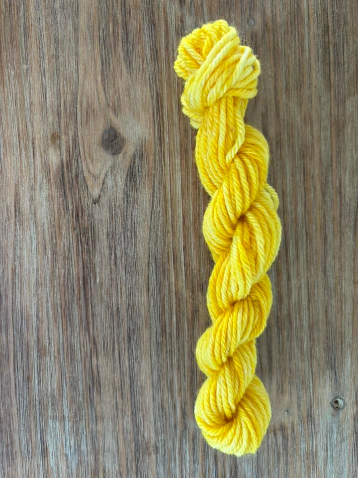 Thumbnail: Superwash Merino Hand Dyed Mini Skeins