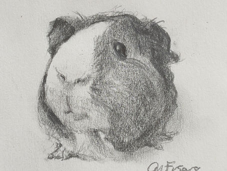 Capturing the "Mona Lisa smile" of the cavy
