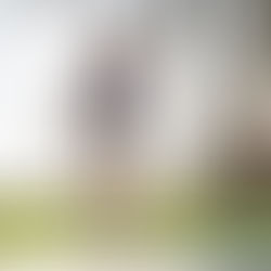 The Mini-Trampoline Victory