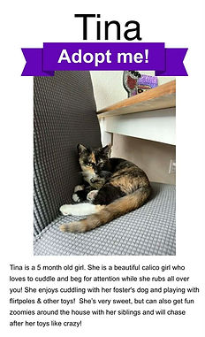 ec04f89e-f8cc-4158-9462-6adf8986c499.jfif