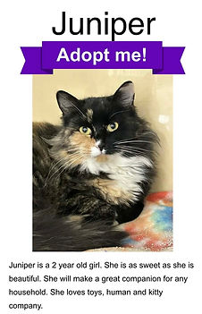 b4c89a84-8654-4a36-89fb-45495ad4d621.jfif