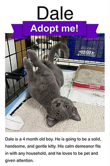 f645e47f-727e-4813-8b18-489892618ac8.jfif