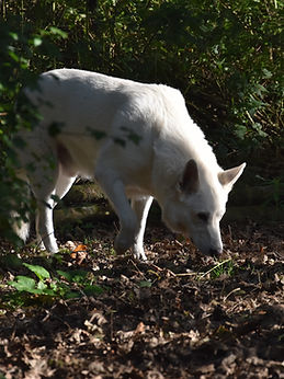 DSC_1047.JPG