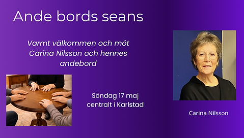 Ande bords seans.png