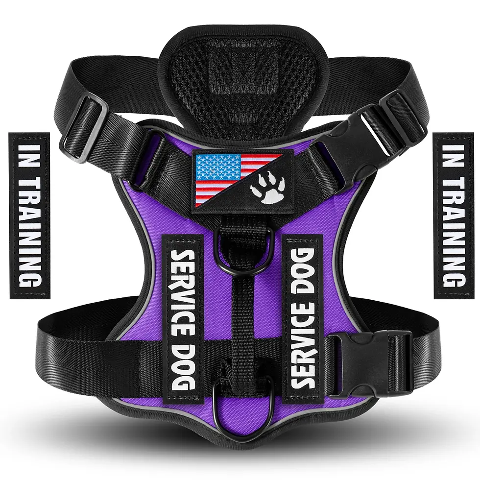 Thumbnail: Adjustable Reflective Dog Vest Harness with 5 Patches Soft Oxford Mesh