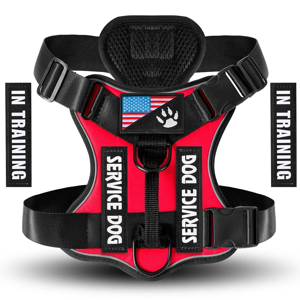 Miniatura: Adjustable Reflective Dog Vest Harness with 5 Patches Soft Oxford Mesh