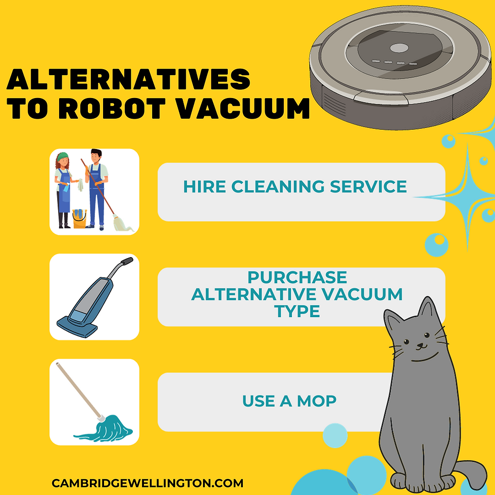Customer alternatives to robot vacuum include mops, cleaning services, and other vacuum types