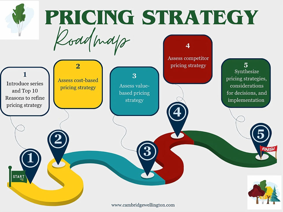 map that shows the main topics in 5 part series on pricing strategy