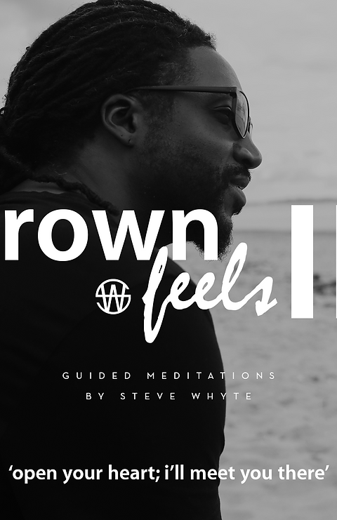 crown feels II - guided meditations by steve whyte | iamstevewhyte.com