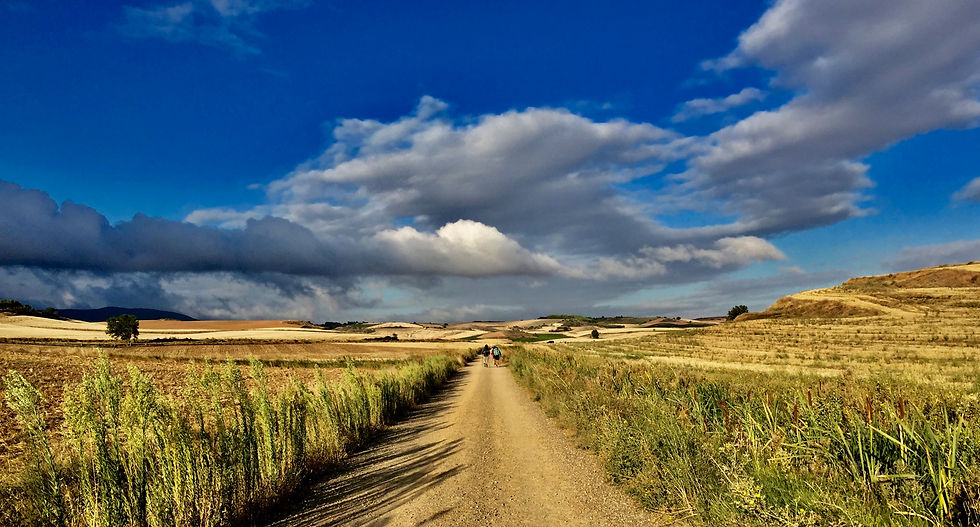 Meseta