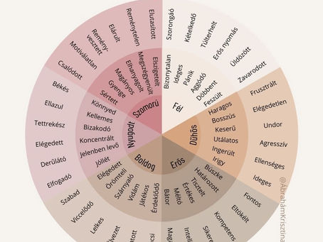 Az érzelmileg érett ember nem játszmázik a kapcsolataiban. Így segít ebben neked az érzelemkerék.