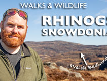 Wild Day in the Rhinogs – Episode 1 of My New Series is Here! 🌿🎥🐦