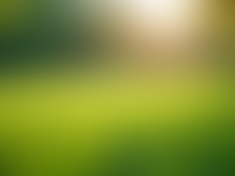 Year-Round Glow: Fertilizing Your South Florida Landscape for Lush, Healthy Growth