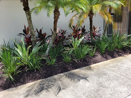 Transform Your Yard with Simple Landscape Upgrades