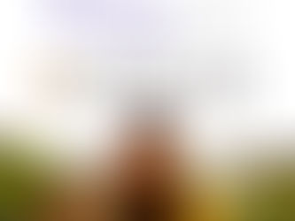 2022/1/5〜19阪急うめだ★OIL in LIFE