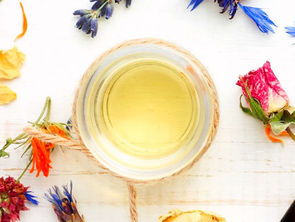 初のオンラインイベント「OIL in LIFE」開催