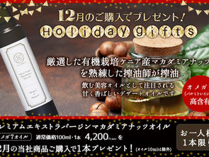 ★12月限定ホリデーギフトキャンペーン★