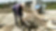 images (76).jpeg