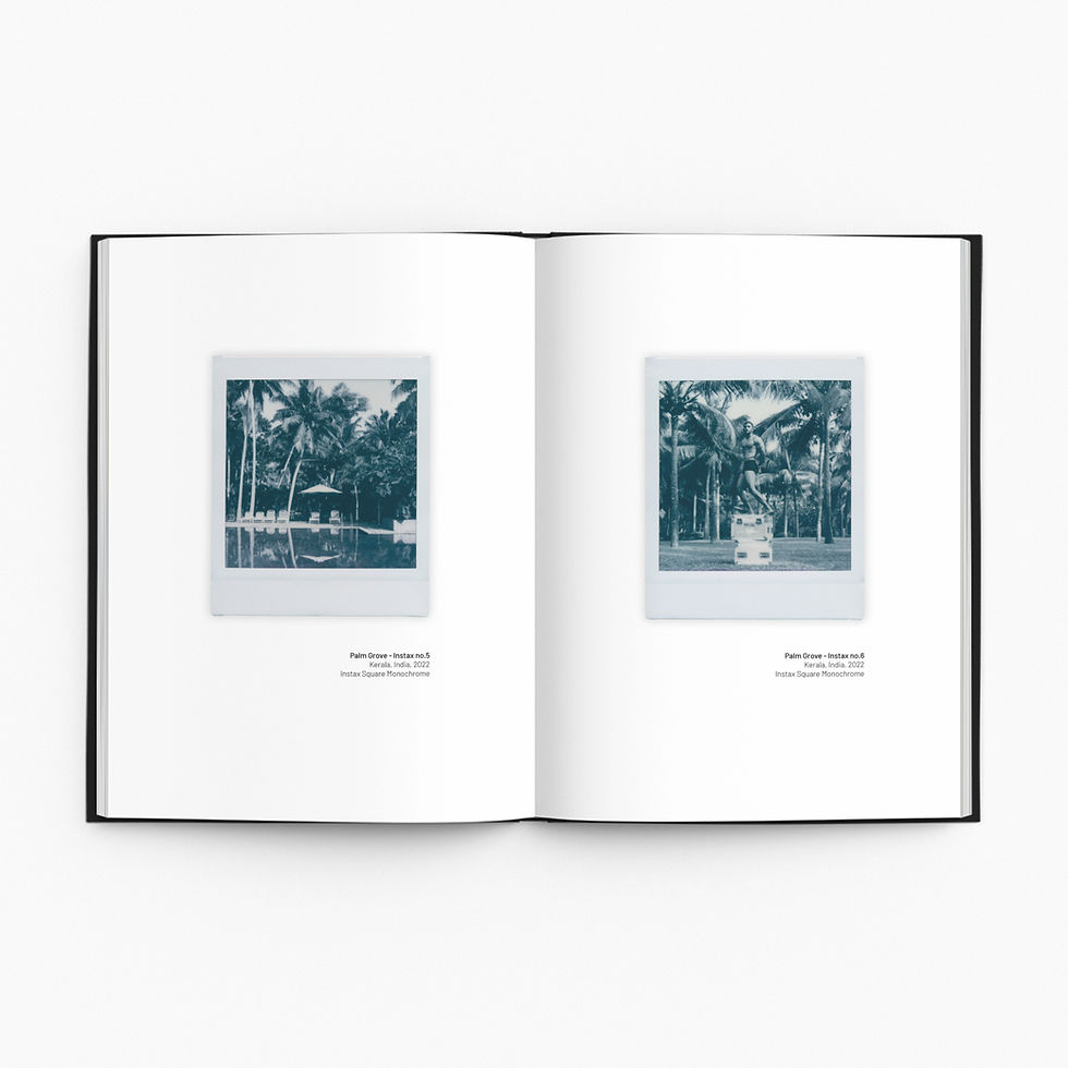 Thumbnail: "Palm Grove - Instax no.5 & 6" Polaroids Vol. 1 photobook interior spread with original instant photography prints