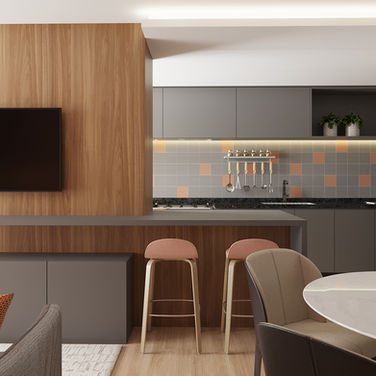 LIOSMAR DUQUE PROJETO MP