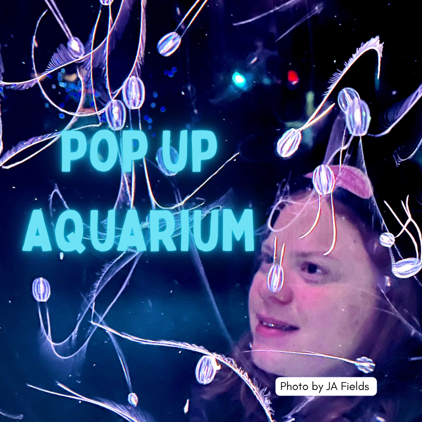 Pop Up Aquarium!