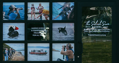 DSC04420 (2)_edited.jpg