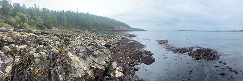 IMG_7561 (5).jpg